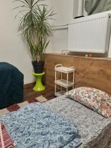 Old town massa room