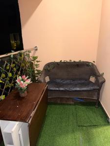 The cozy nest