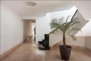 Condesa Residence Campeche 10 Amazing 2 Bedroom 1 Bathroom Oasis with Ample Room