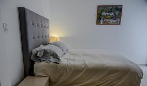 Condesa Residence Amsterdam C Stylish 1 Bedroom, 1 Bathroom Gem on Amsterdam Avenue