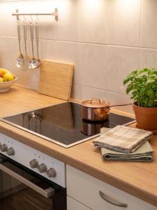 1BR, central, Prater, Schwedenplatz