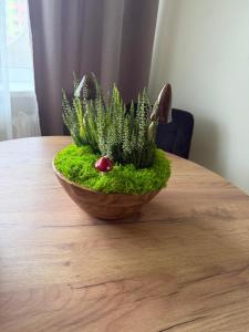 Apartament Grodzka