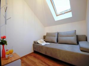 Comfortable holiday homes with terraces, Mielenko