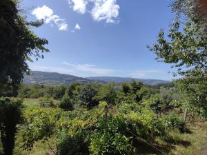 Estúdio na Casa das Cancelas, vistas montanha