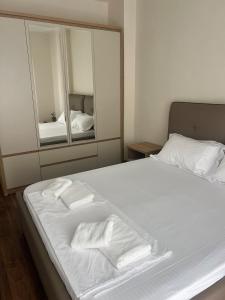 Central Home Tirana