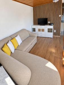 Apartment Janez Klavz