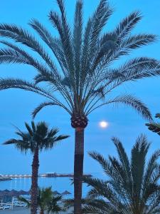Benalbeach Paradise