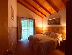 Cabaña Caburgua-Pucon