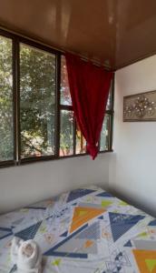 Hotel Amazonas