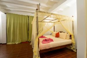 Freedom Villa