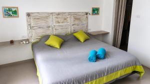 Villa Roxy - Pool Villa & Guest Apartment