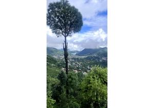 Sylvara Villas - A Serene Stay Near Kainchi Dham Nainital