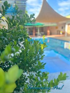 Palm Dreams Resort - La Palmera