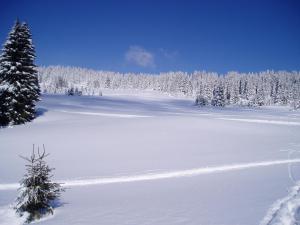 Hotels Chalet-Hotel du Borderan : photos des chambres