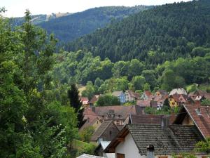 B&B / Chambres d'hotes Maison D'hotes Du Landersbach : photos des chambres