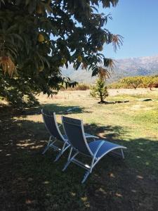 FINCA El LABRAO DE ALARDOS