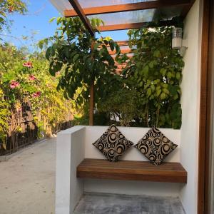 Tropical Sands By Reef Tour