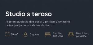 A-VIP apartments