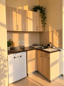 Nova Apartment