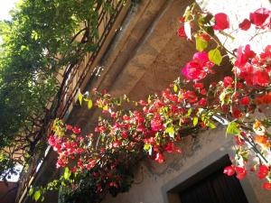 Zia Chiarina img67