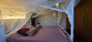 Gold King Apartment