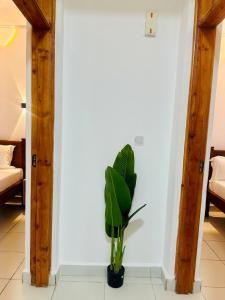 Super curated 2bedroom Mombasa