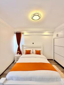 Stylish homes