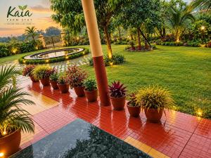 kaia farmstay and cafe
