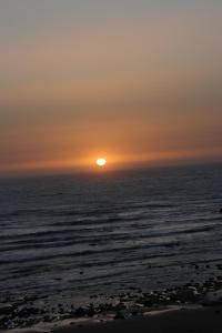 Surfvivoimsouane