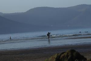 Surfvivoimsouane
