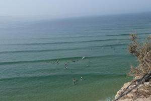 Surfvivoimsouane