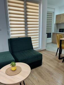 Studio Apartman Leontina Vrnjačka Banja