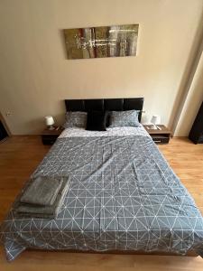 Nice, Spacious and Cozy Apartment