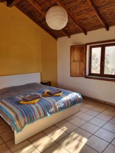 Casa Madrugada Ruhige Haus, zentral gelegen, nahe zum Meer
