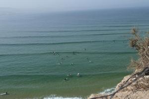Surfvivoimsouane