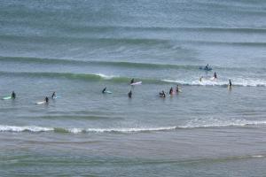 Surfvivoimsouane
