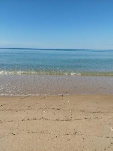 Zen view