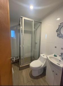 Lindo Departamento en Isla Teja