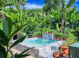 Catarina Granada Area Pool Lush Gardens