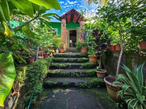 Catarina Granada Area Pool Lush Gardens