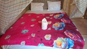 Twins Homestay ekas