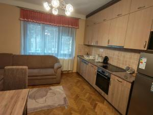Trumpet - Renovated Downtown 1BR, Free Parking