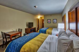 Queen Room with Two Queen Beds - Non-Smoking room in Comfort Inn Edwardsville - St. Louis