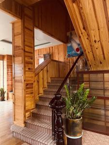 Lucky Villa