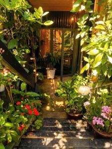 Moony house
