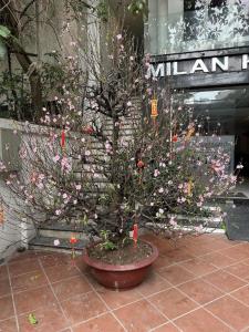 Hanoi Milan Hotel