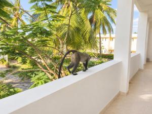 Diani Beach 1BR Steps from the Beach