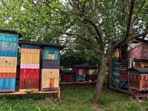 Agroturystyka u Agaty