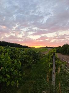 Agroturystyka u Agaty
