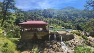 Tay Con Linh Farmstay & Trekking Ha Giang
